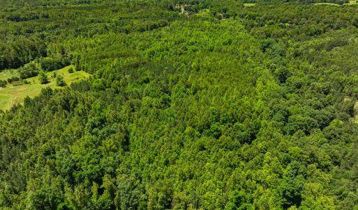 Photo #26 of Lot-5, Off Wilson Road, Providence, NC 14.6 acres