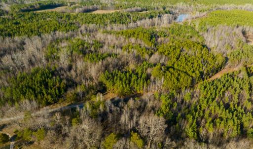 Photo #28 of Lot-5, Off Wilson Road, Providence, NC 14.6 acres