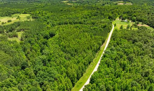 Photo #31 of Lot-5, Off Wilson Road, Providence, NC 14.6 acres