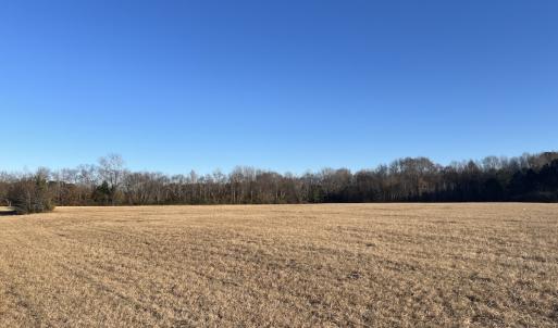 Photo #28 of Off Downing Street SW, Wilson, NC 41.3 acres