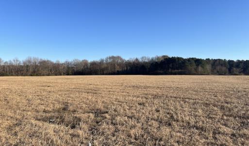 Photo #29 of Off Downing Street SW, Wilson, NC 41.3 acres