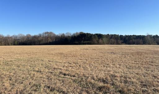 Photo #30 of Off Downing Street SW, Wilson, NC 41.3 acres