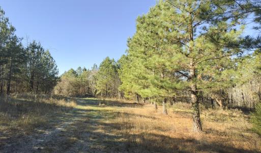 Photo #6 of Lot-5, Off Park Springs Road, Providence, NC 11.2 acres