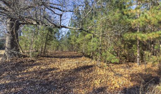 Photo #11 of Lot-5, Off Park Springs Road, Providence, NC 11.2 acres