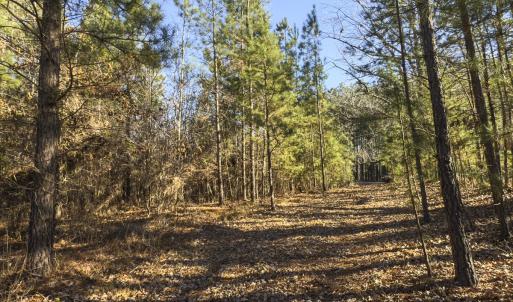 Photo #14 of Lot-5, Off Park Springs Road, Providence, NC 11.2 acres