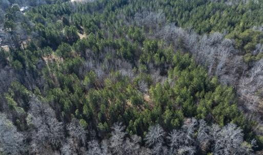 Photo #15 of Lot-5, Off Park Springs Road, Providence, NC 11.2 acres
