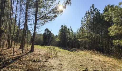 Photo #19 of Lot-5, Off Park Springs Road, Providence, NC 11.2 acres
