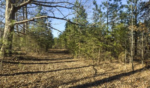 Photo #22 of Lot-5, Off Park Springs Road, Providence, NC 11.2 acres