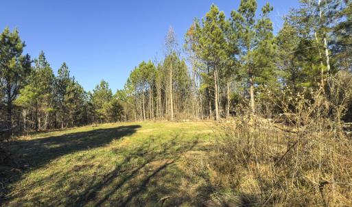 Photo #28 of Lot-5, Off Park Springs Road, Providence, NC 11.2 acres