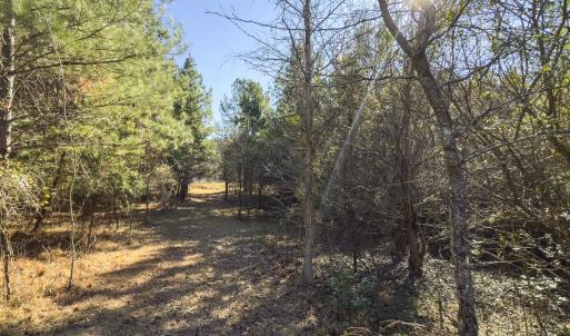 Photo #30 of Lot-5, Off Park Springs Road, Providence, NC 11.2 acres