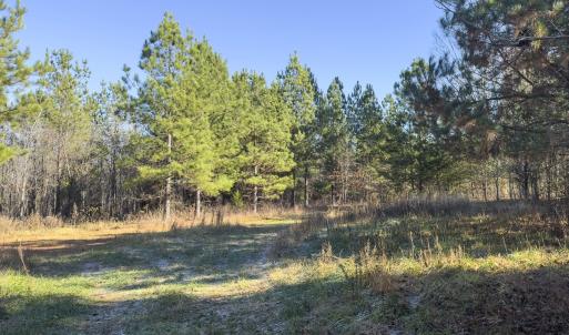 Photo #32 of Lot-5, Off Park Springs Road, Providence, NC 11.2 acres