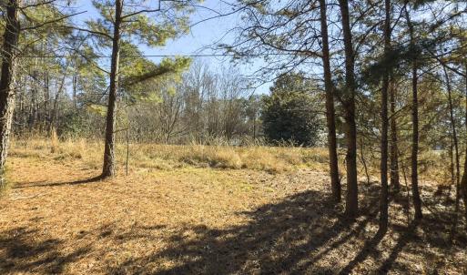 Photo #34 of Lot-5, Off Park Springs Road, Providence, NC 11.2 acres