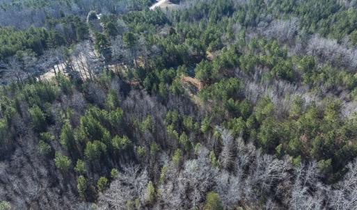 Photo #41 of Lot-5, Off Park Springs Road, Providence, NC 11.2 acres