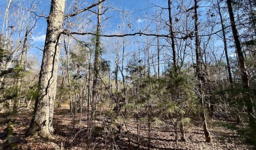 Photo #13 of 130 Bayview Court, New London, NC 1.3 acres