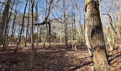 Photo #14 of 130 Bayview Court, New London, NC 1.3 acres