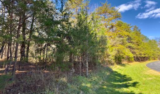 Photo #15 of 130 Bayview Court, New London, NC 1.3 acres