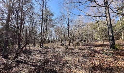 Photo #16 of 130 Bayview Court, New London, NC 1.3 acres