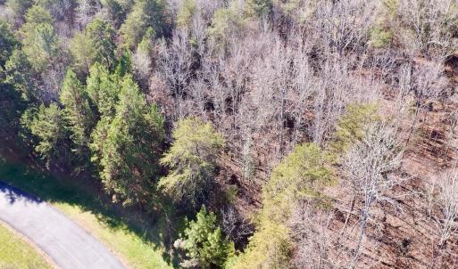 Photo #4 of 130 Bayview Court, New London, NC 1.3 acres