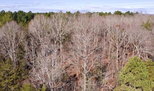 Photo #5 of 130 Bayview Court, New London, NC 1.3 acres