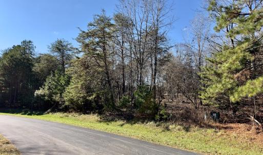 Photo #6 of 130 Bayview Court, New London, NC 1.3 acres