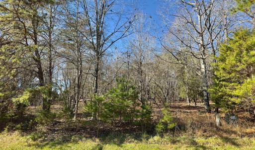 Photo #7 of 130 Bayview Court, New London, NC 1.3 acres