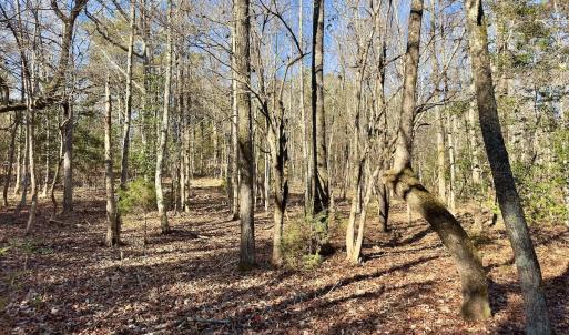 Photo #8 of 130 Bayview Court, New London, NC 1.3 acres