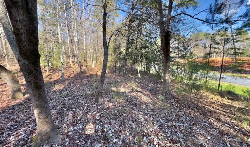 Photo #9 of 130 Bayview Court, New London, NC 1.3 acres