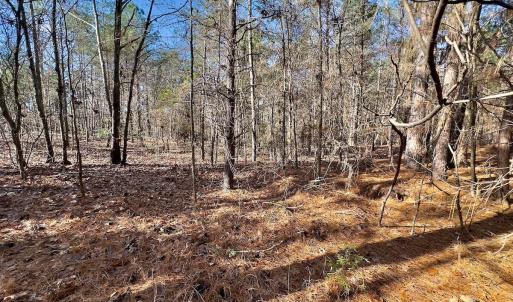 Photo #10 of 130 Bayview Court, New London, NC 1.3 acres