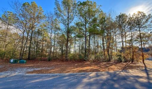 Photo #20 of 196 Cypress Pt, Wallace, NC 0.5 acres