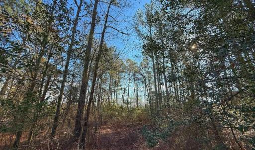 Photo #22 of 196 Cypress Pt, Wallace, NC 0.5 acres