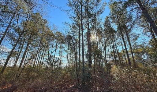 Photo #23 of 196 Cypress Pt, Wallace, NC 0.5 acres