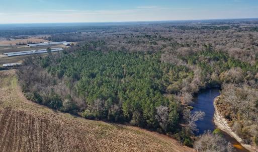 Photo #2 of SOLD property in Off Durwood Evans Rd, Beulaville, NC 31.6 acres