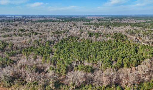 Photo #11 of SOLD property in Off Durwood Evans Rd, Beulaville, NC 31.6 acres