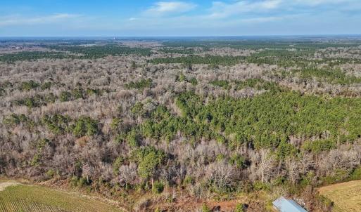 Photo #12 of SOLD property in Off Durwood Evans Rd, Beulaville, NC 31.6 acres