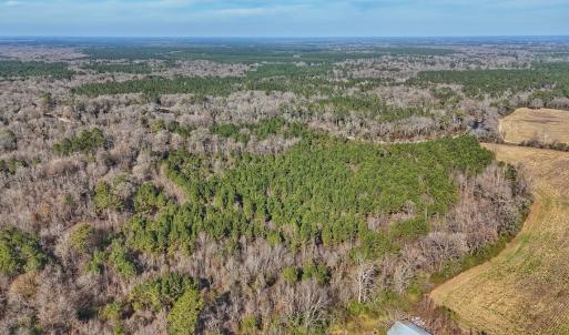 Photo #13 of SOLD property in Off Durwood Evans Rd, Beulaville, NC 31.6 acres