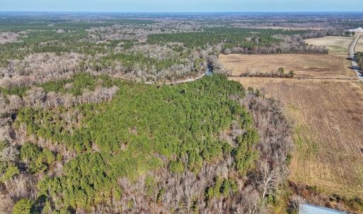 Photo #15 of SOLD property in Off Durwood Evans Rd, Beulaville, NC 31.6 acres