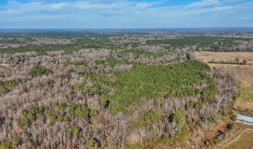 Photo #18 of SOLD property in Off Durwood Evans Rd, Beulaville, NC 31.6 acres