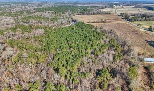 Photo #19 of SOLD property in Off Durwood Evans Rd, Beulaville, NC 31.6 acres