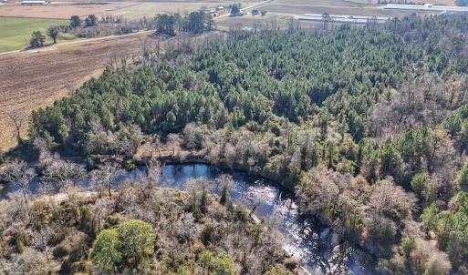 Photo #3 of SOLD property in Off Durwood Evans Rd, Beulaville, NC 31.6 acres