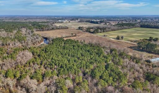 Photo #22 of SOLD property in Off Durwood Evans Rd, Beulaville, NC 31.6 acres
