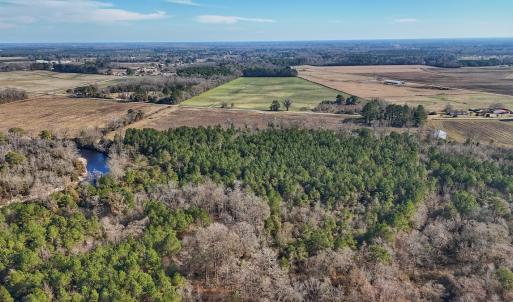Photo #23 of SOLD property in Off Durwood Evans Rd, Beulaville, NC 31.6 acres