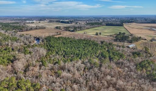 Photo #24 of SOLD property in Off Durwood Evans Rd, Beulaville, NC 31.6 acres