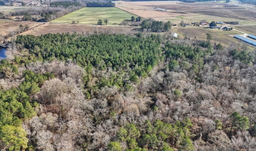 Photo #28 of SOLD property in Off Durwood Evans Rd, Beulaville, NC 31.6 acres