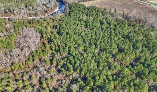 Photo #29 of SOLD property in Off Durwood Evans Rd, Beulaville, NC 31.6 acres