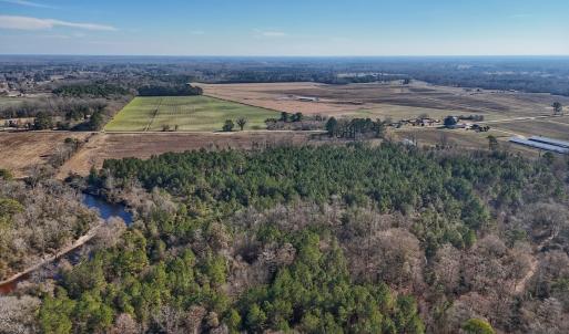 Photo #31 of SOLD property in Off Durwood Evans Rd, Beulaville, NC 31.6 acres