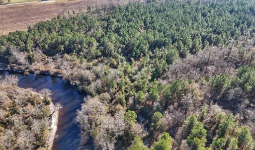 Photo #35 of SOLD property in Off Durwood Evans Rd, Beulaville, NC 31.6 acres