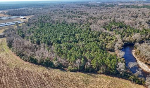 Photo #39 of SOLD property in Off Durwood Evans Rd, Beulaville, NC 31.6 acres