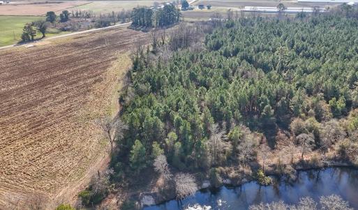 Photo #5 of SOLD property in Off Durwood Evans Rd, Beulaville, NC 31.6 acres