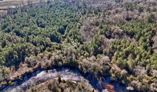 Photo #41 of SOLD property in Off Durwood Evans Rd, Beulaville, NC 31.6 acres