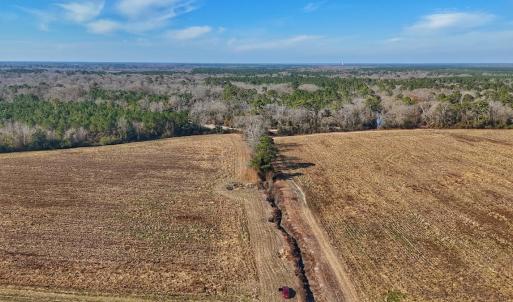 Photo #44 of SOLD property in Off Durwood Evans Rd, Beulaville, NC 31.6 acres